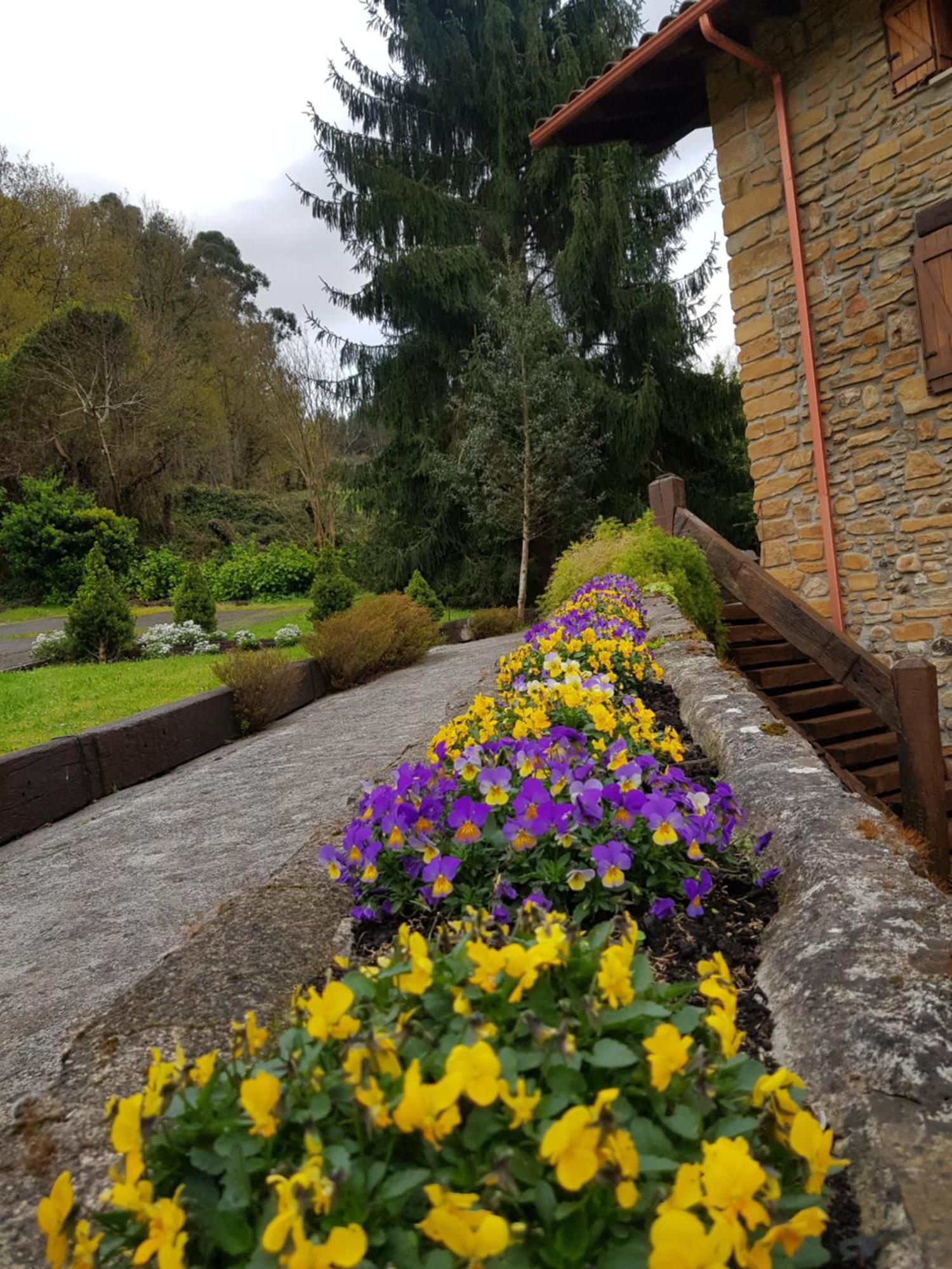 Agroturismo Iberreko Errota Muxika Buitenkant foto
