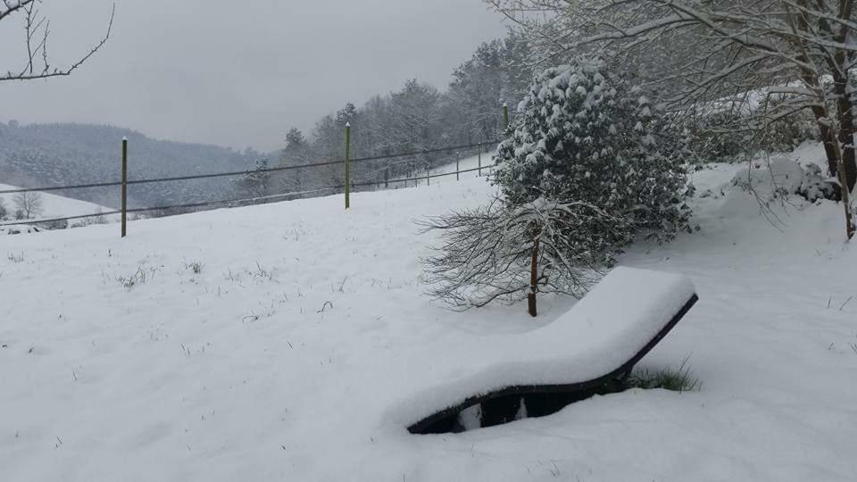Agroturismo Iberreko Errota Muxika Buitenkant foto